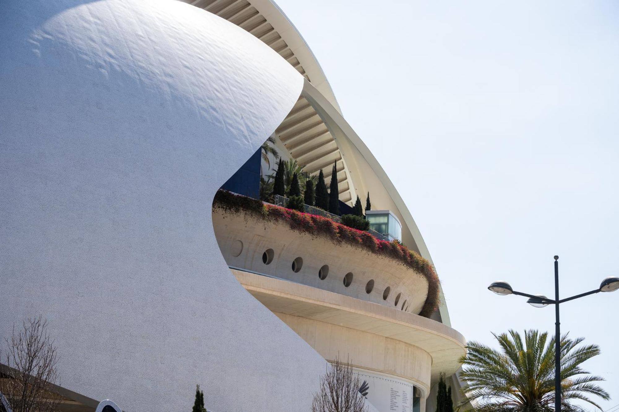 Alojamiento Junto Al Oceanografic Valencia Bagian luar foto