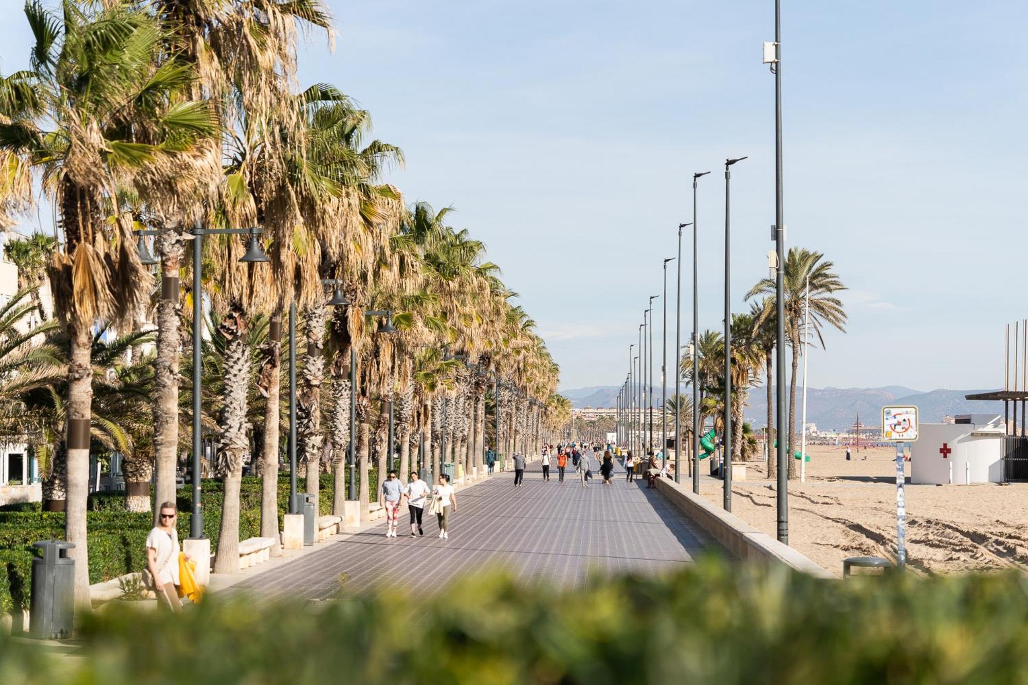 Alojamiento Junto Al Oceanografic Valencia Bagian luar foto